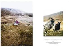 Dorling Kindersley Reise Reiseführer*Island