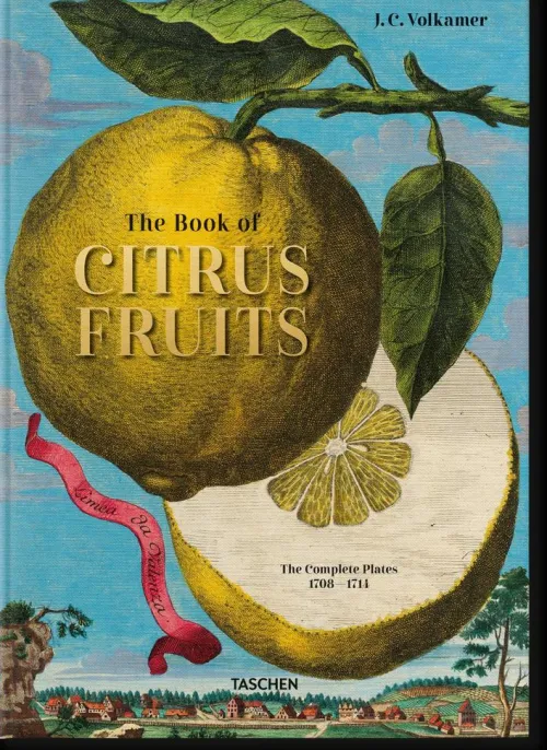 Taschen GmbH Künstler:Innen Im Fokus-J. C. Volkamer. The Book of Citrus Fruits