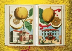 Taschen GmbH Künstler:Innen Im Fokus-J. C. Volkamer. The Book of Citrus Fruits