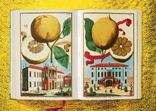 Taschen GmbH Künstler:Innen Im Fokus-J. C. Volkamer. The Book of Citrus Fruits