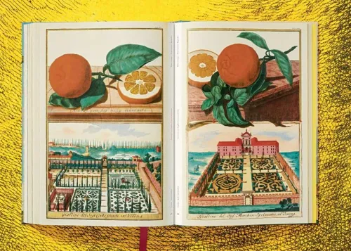 Taschen GmbH Künstler:Innen Im Fokus-J. C. Volkamer. The Book of Citrus Fruits