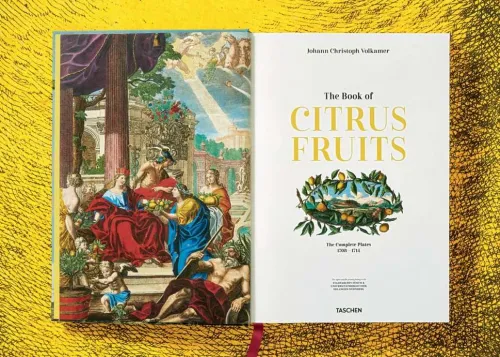 Taschen GmbH Künstler:Innen Im Fokus-J. C. Volkamer. The Book of Citrus Fruits