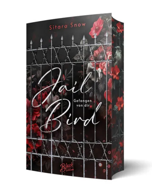 NOVA MD Dark Romance-Jailbird