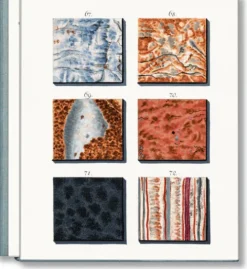 Taschen Verlag Lifestyle-Jan Christiaan Sepp. The Book of Marble