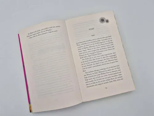 Piper Verlag GmbH Romantic Comedy*Josh and Hazel's Guide to Not Dating