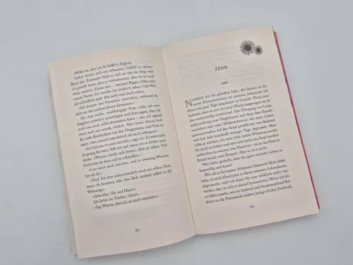 Piper Verlag GmbH Romantic Comedy*Josh and Hazel's Guide to Not Dating