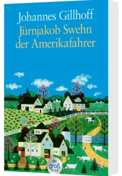 dtv Verlagsgesellschaft Großdruck*Jürnjakob Swehn der Amerikafahrer. Großdruck