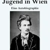 Henricus - Edition Deutsche Klassik GmbH, Berlin Großdruck*Jugend in Wien (Großdruck)