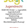 dtv Verlagsgesellschaft Jura*Jugendrecht. JugR