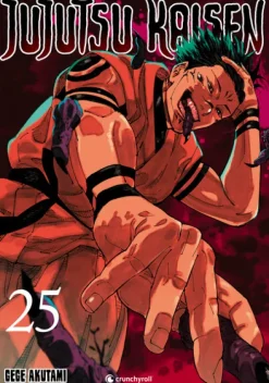 Crunchyroll Manga Mystery|Fantasy*Jujutsu Kaisen - Band 25