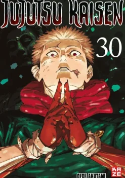 Crunchyroll Manga Mystery|Fantasy*Jujutsu Kaisen - Band 30 (Finale)