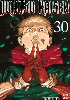 Crunchyroll Manga Mystery|Fantasy*Jujutsu Kaisen - Band 30 (Finale)