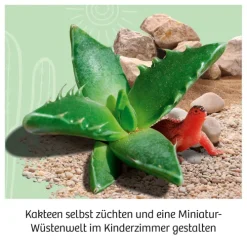 Kakteen-Wüste*Franckh-Kosmos Discount