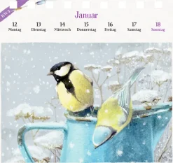 Kalender mit 53 Postkarten*Coppenrath, Münster Online
