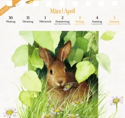 Coppenrath, Münster Postkartenkalender*Kalender mit 53 Postkarten