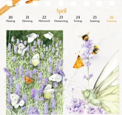 Coppenrath, Münster Postkartenkalender*Kalender mit 53 Postkarten