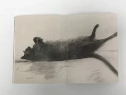 DuMont Buchverlag GmbH Kunst & Architektur-Katzen in der Kunst