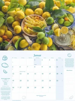 Heye Terminkalender-Küchenkalender Broschur XL 2026