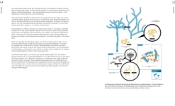 Küchenlabor*Stiftung Warentest Sale