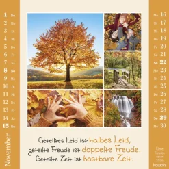 Kawohl Postkartenkalender-Kleine Freuden sehen 2026