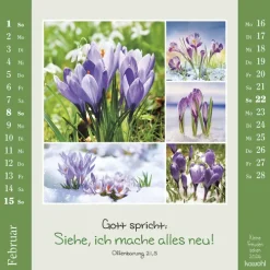 Kawohl Postkartenkalender-Kleine Freuden sehen 2026