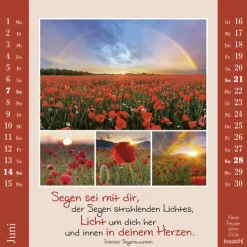 Kawohl Postkartenkalender-Kleine Freuden sehen 2026