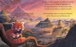 Kinder Magellan GmbH 3-6 Jahre-Kleine Pandas, großes Versprechen
