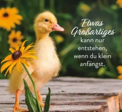 Kleine Pausen voller Glück*Groh Verlag Best