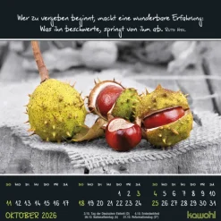 Kleine Wunder sehen 2026*Kawohl Best