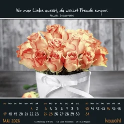 Kleine Wunder sehen 2026*Kawohl Best