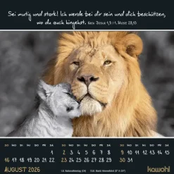 Kleine Wunder sehen 2026*Kawohl Best