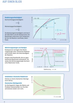 Klett Sicher im Abi Oberstufen-Wissen Chemie*Klett Lerntraining Discount