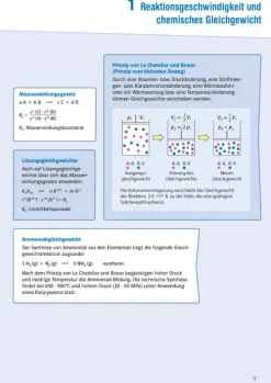 Klett Sicher im Abi Oberstufen-Wissen Chemie*Klett Lerntraining Discount