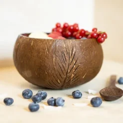 Virtual Trading GmbH Küche & Esszimmer-Kokosnuss-Set (Bowl + Löffel)