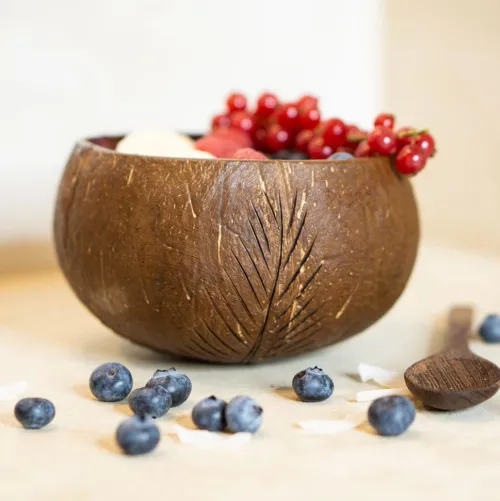 Virtual Trading GmbH Küche & Esszimmer-Kokosnuss-Set (Bowl + Löffel)