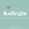 Elma van Vliet Liebe & Hochzeit*Kollegin. Liebe Wünsche in einem kleinen Buch