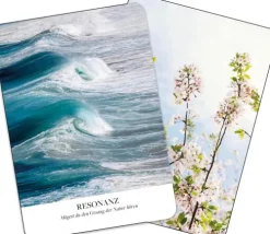 Kraftorte*Groh Verlag Online