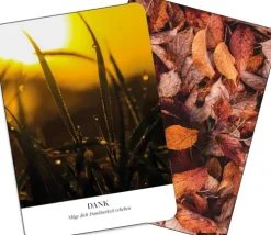 Kraftorte*Groh Verlag Online