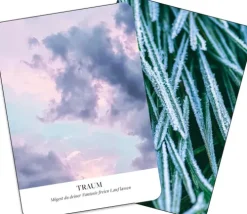 Kraftorte*Groh Verlag Online