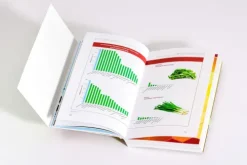 Goldmann TB Ratgeber|Gesundheit-Krebszellen mögen keine Himbeeren