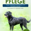 Expertengruppe Verlag Garten, Natur, Tiere*Labrador Pflege