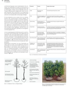 Birkhäuser Verlag GmbH Architektur-Landschaft konstruieren