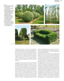 Birkhäuser Verlag GmbH Architektur-Landschaft konstruieren