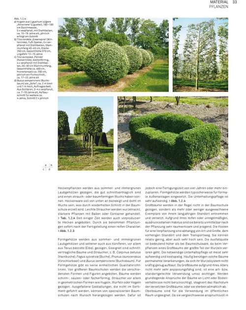 Birkhäuser Verlag GmbH Architektur-Landschaft konstruieren