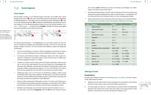 Landwirtschaftssimulator 22 - Der inoffizielle Guide*BILDNER Verlag Online