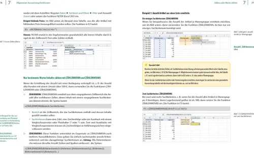 Landwirtschaftssimulator 22 - Der inoffizielle Guide*BILDNER Verlag Online