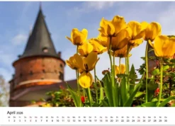 Calvendo Wandkalender-Lübeck - Im Licht der Zeit (Wandkalender 2026 DIN A3 quer), Monatskalender