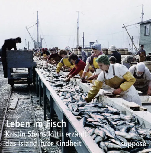 Suppose Verlag Romane·Gesamtausgaben-Leben im Fisch, Kristín Steinsdóttir erzählt das Island ihrer Kindheit, 3 Audio-CDs