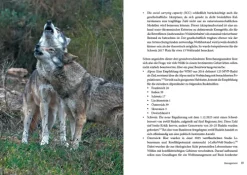 Leben mit dem Wolf*Oekom Verlag GmbH New