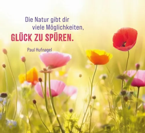 Groh Verlag Mut & Motivation-Lebensfreude für jeden Tag